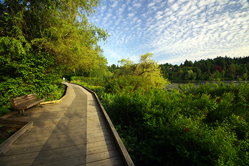 Deer Lake Park - 5 Beautiful Boardwalks near Vancouver