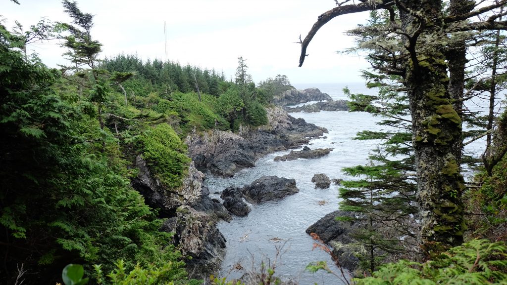 Storm Watching From The Wild Pacific Trail In Ucluelet • The Urban Mom